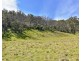 Lot 1 & Lot 2 Halls Creek Road, Manilla NSW 2346