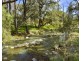 Lot 1 & Lot 2 Halls Creek Road, Manilla NSW 2346