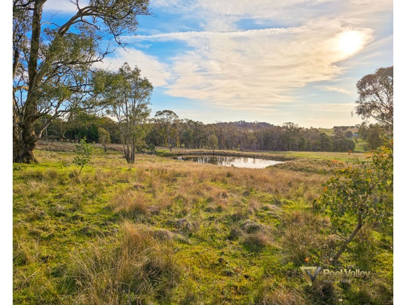 829 New England Gully Road, Moonbi NSW 2353