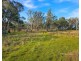 829 New England Gully Road, Moonbi NSW 2353