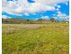 Lot 503 Premiers Street Nemingha, Tamworth NSW 2340