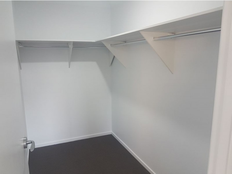 15 Daydream Crescent, Springfield Lakes QLD 4300