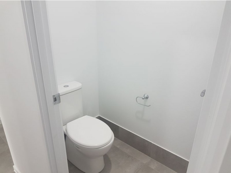 15 Daydream Crescent, Springfield Lakes QLD 4300