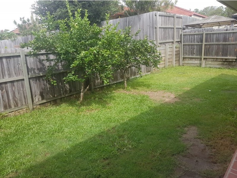 21 Stanley Street, Acacia Ridge QLD 4110