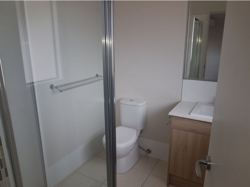 42 Capricorn Crescent, Springfield Lakes QLD 4300