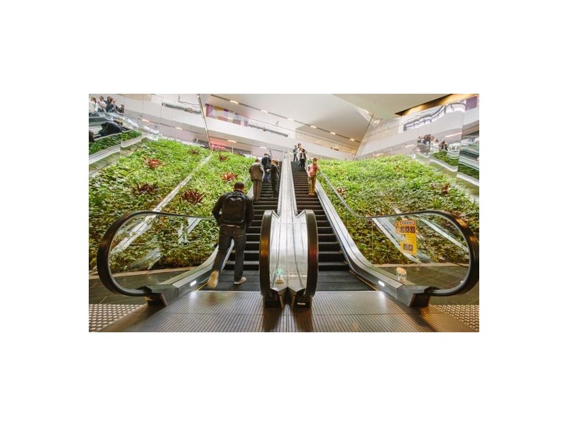 605/1 Park Lane, Chippendale NSW 2008