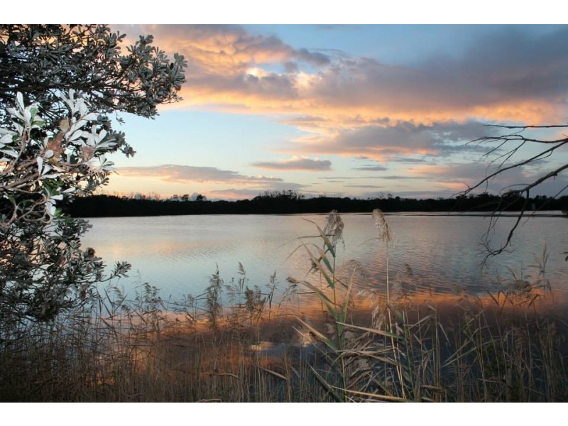 Fingal Head NSW 2487
