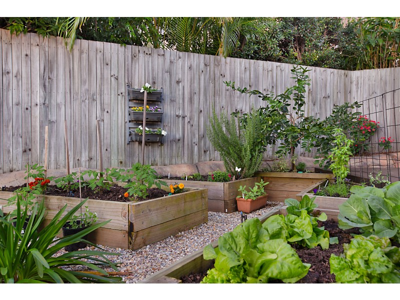 36 Macadamia Drive, Pottsville NSW 2489