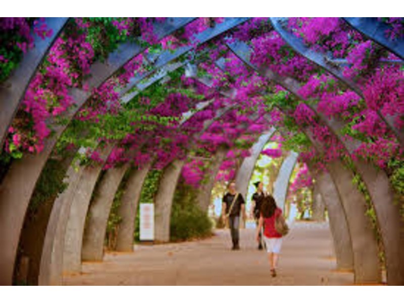 South Brisbane QLD 4101