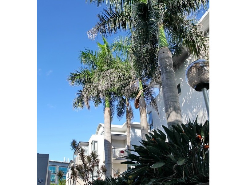 22/7 Landsborough Terrace, Toowong QLD 4066