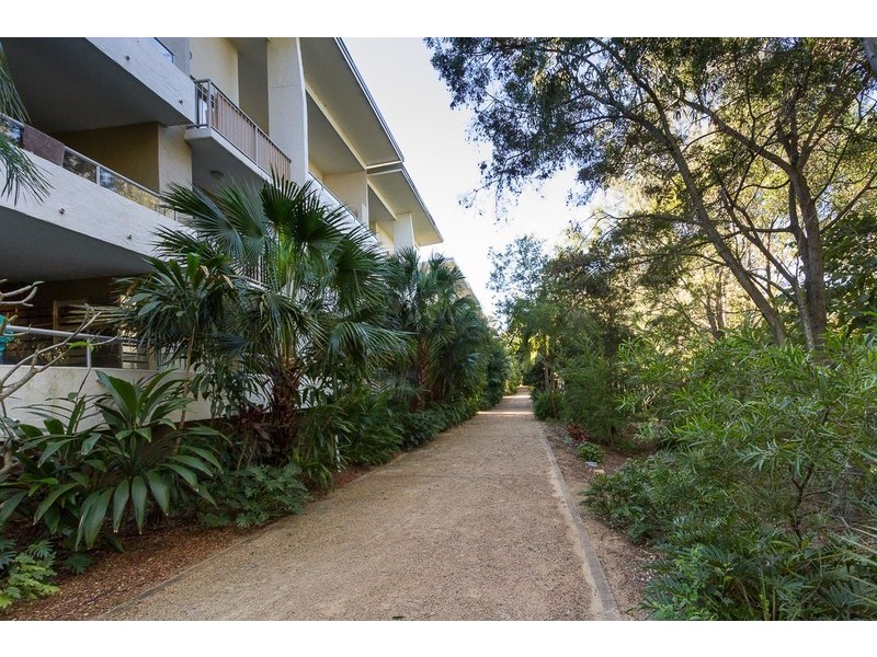 15/40 Nathan Avenue, Ashgrove QLD 4060