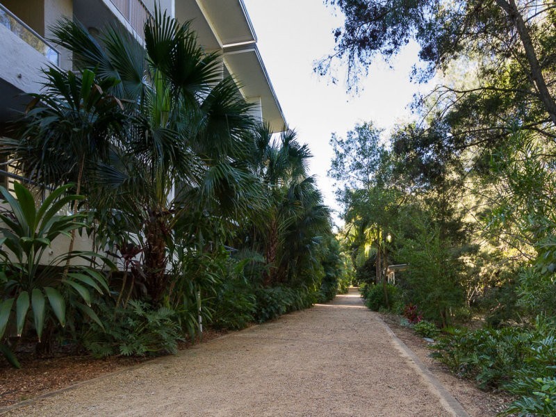 40 Nathan Avenue, Ashgrove QLD 4060