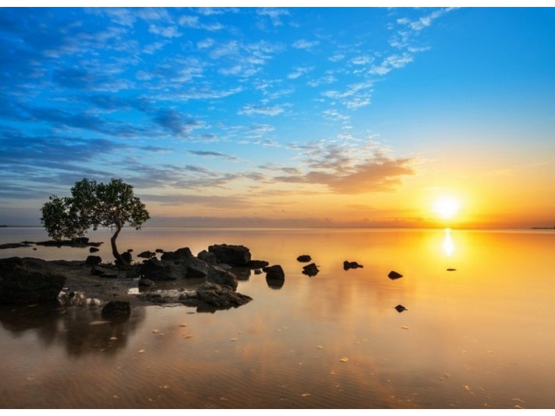 Deception Bay QLD 4508