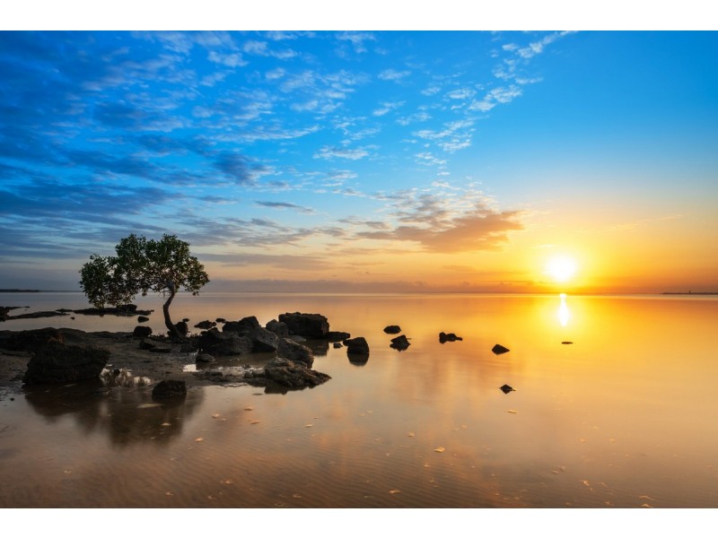 Deception Bay QLD 4508