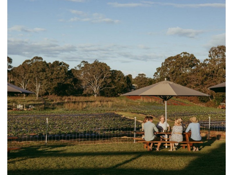 Birkdale QLD 4159