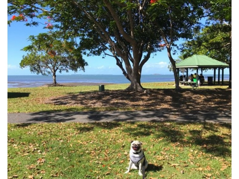 Birkdale QLD 4159