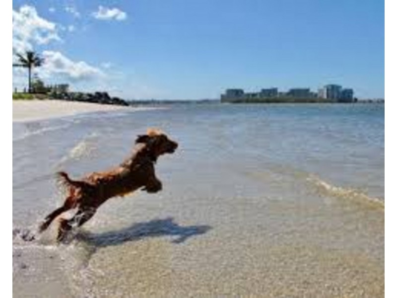 Biggera Waters QLD 4216