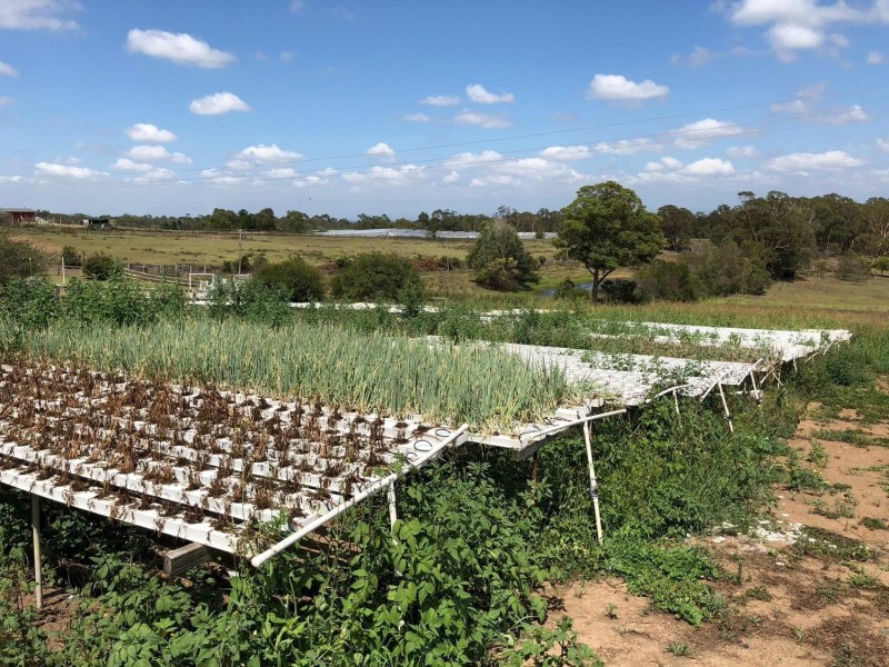 820A Old Northern Road, Middle Dural NSW 2158