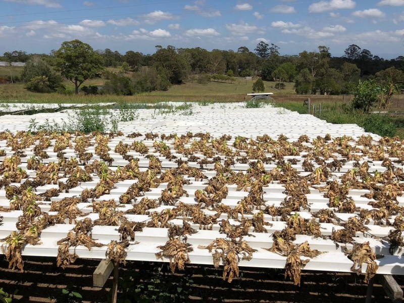 820A Old Northern Road, Middle Dural NSW 2158