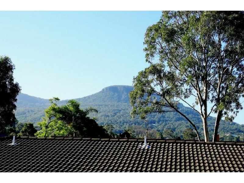 4/17 Zelang Avenue, Figtree NSW 2525