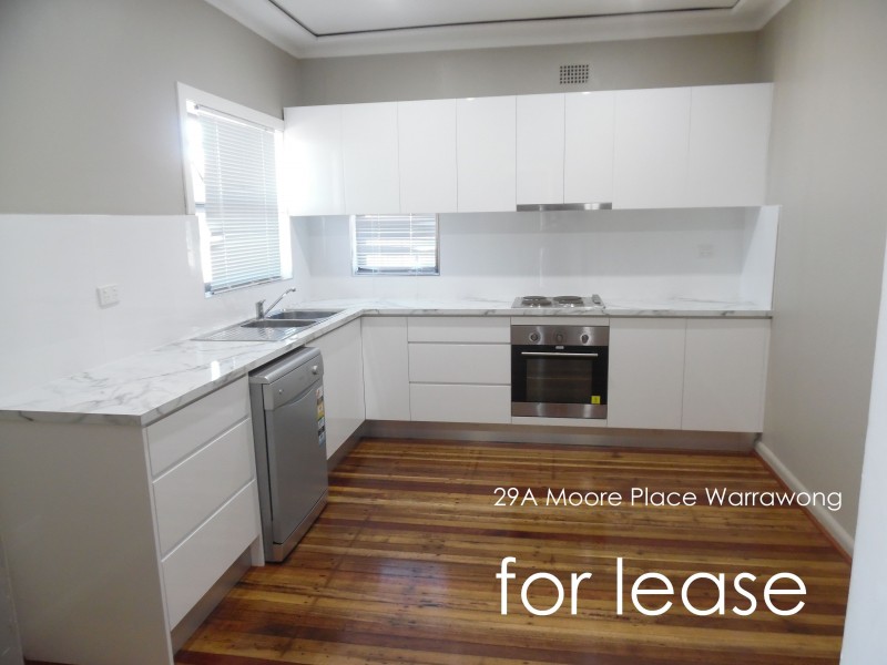 29A Moore Place, Warrawong NSW 2502