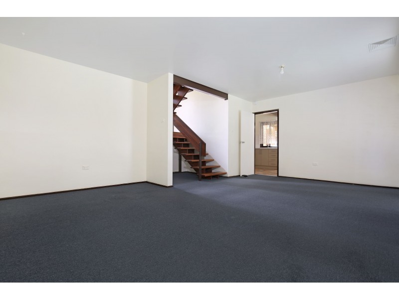 173 Jacaranda Avenue, Figtree NSW 2525