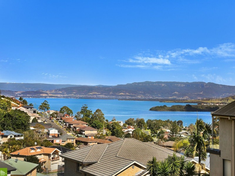 14 Jacana Place, Lake Heights NSW 2502