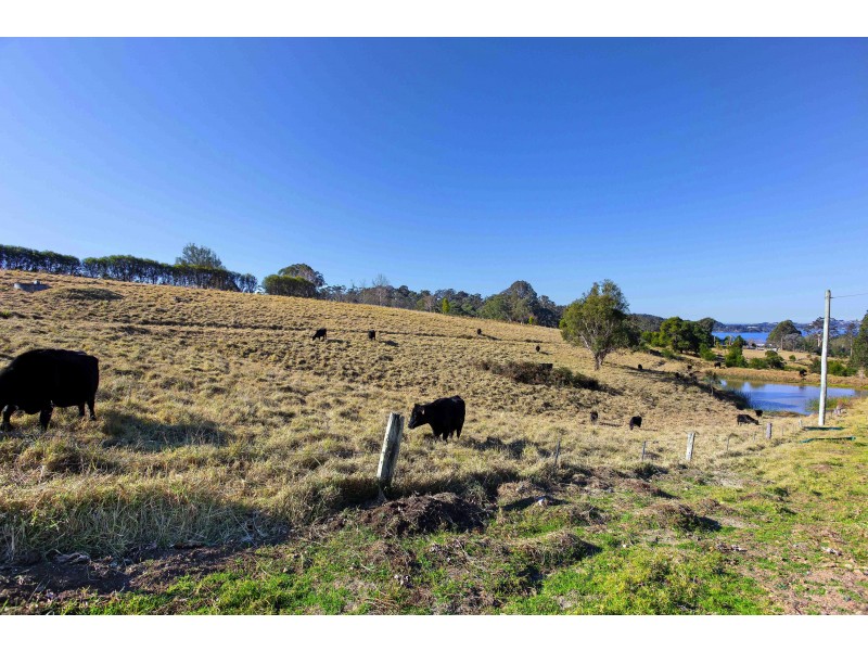 465 Riverview Road, North Narooma NSW 2546