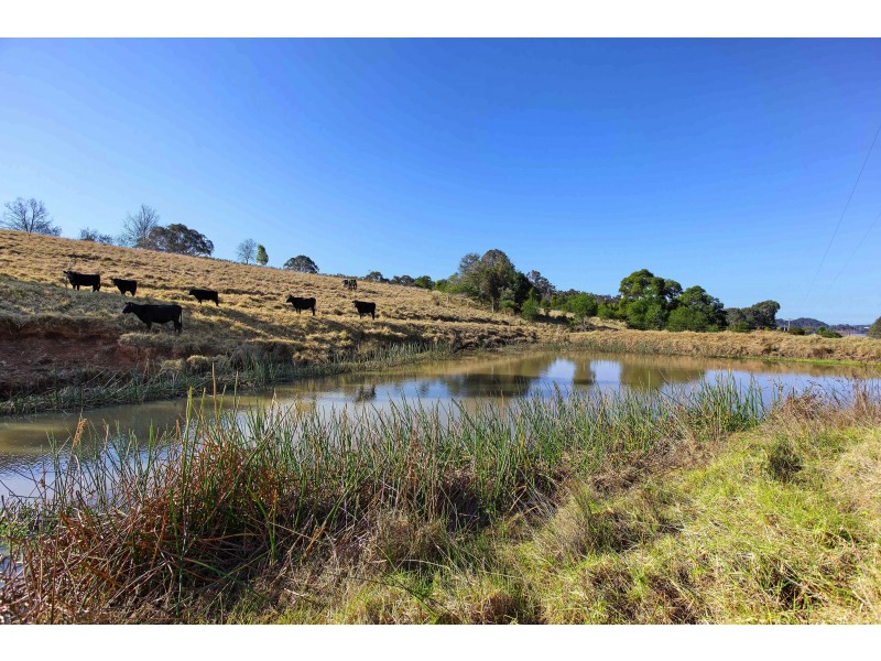 465 Riverview Road, North Narooma NSW 2546