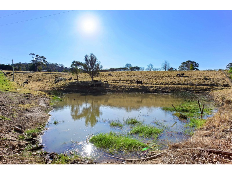 465 Riverview Road, North Narooma NSW 2546