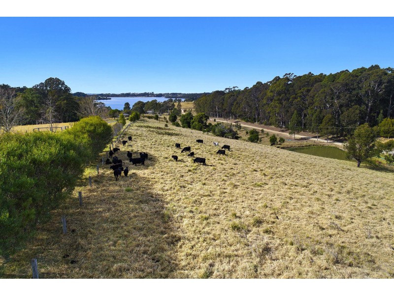 465 Riverview Road, North Narooma NSW 2546