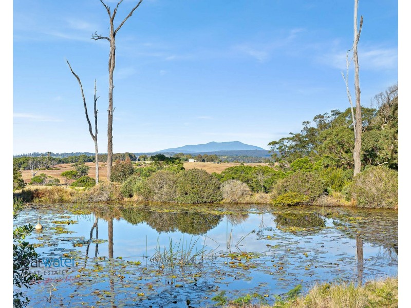 432 Bingie Rd, Bingie NSW 2537