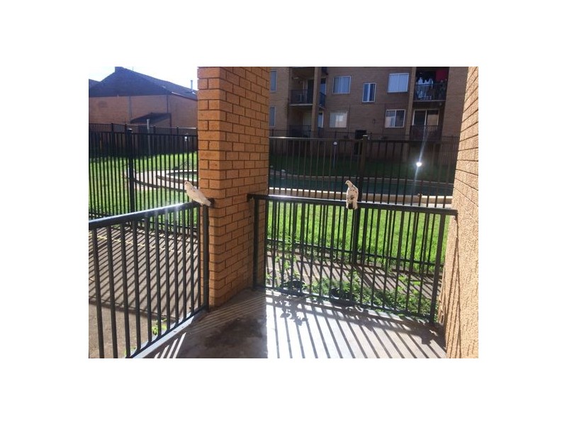 23/5-7 Hoddle Avenue, Bradbury NSW 2560