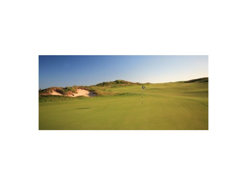 1909 White Haven Drive, Magenta NSW 2261