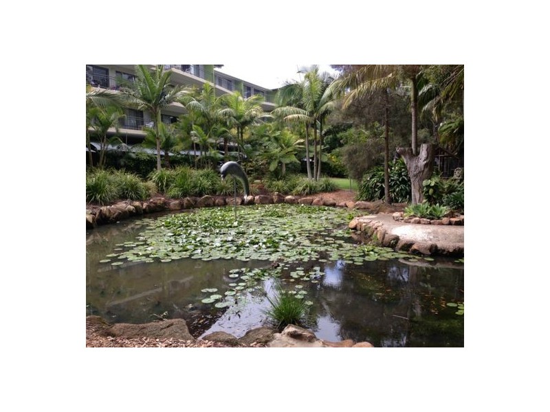 314/68 Pacific Drive, Port Macquarie NSW 2444