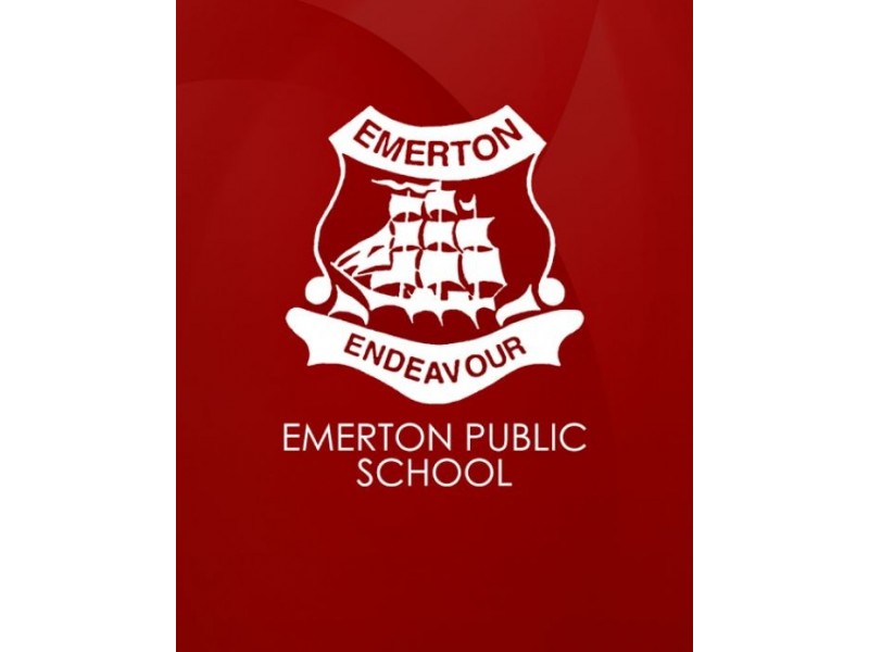 16 Graceades Place, Bidwill NSW 2770