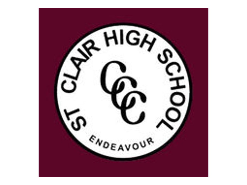 102 St Clair Avenue, St Clair NSW 2759