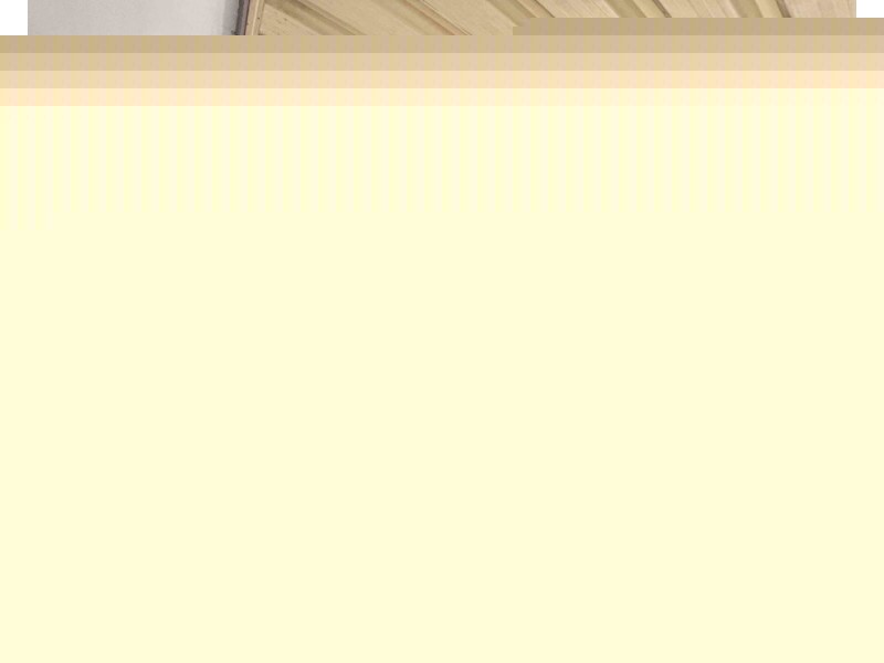 3 Bergin Place, Minchinbury NSW 2770