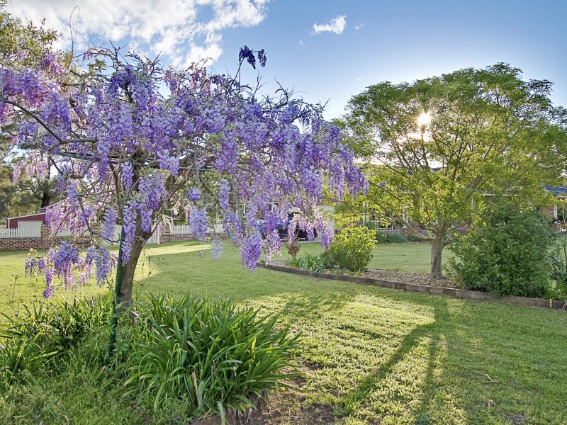 178 Willeroo Drive, Windsor Downs NSW 2756