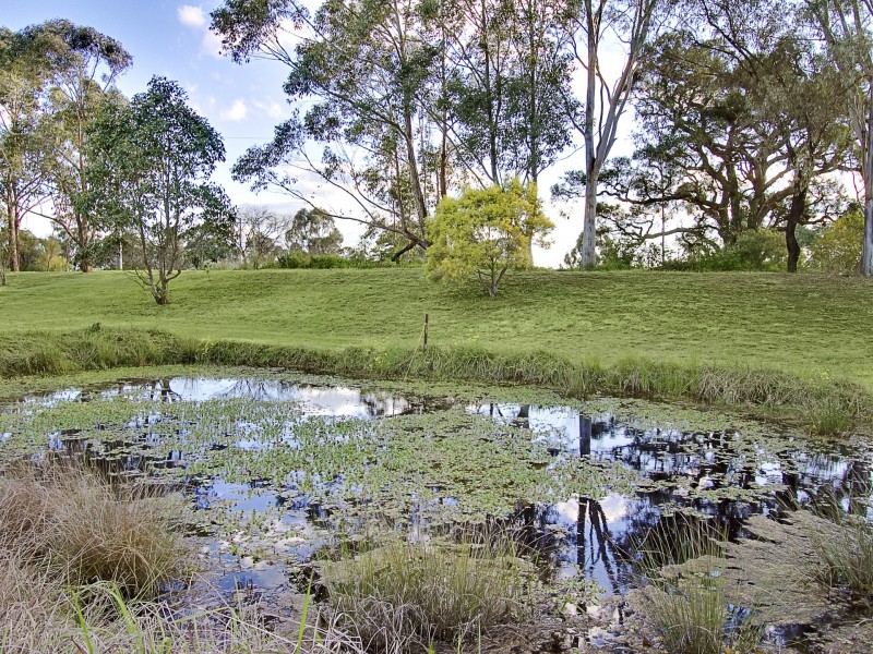 178 Willeroo Drive, Windsor Downs NSW 2756