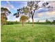 226 Stannix Park Road, Wilberforce NSW 2756