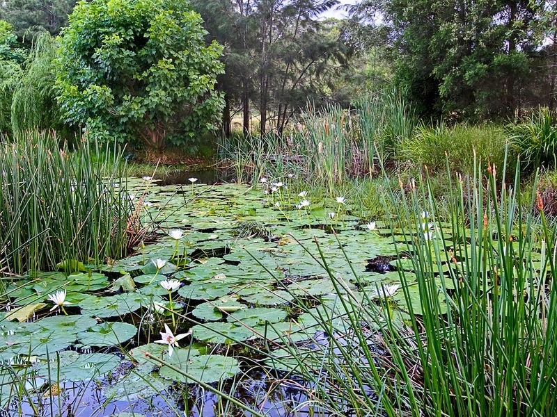 226 Stannix Park Road, Wilberforce NSW 2756