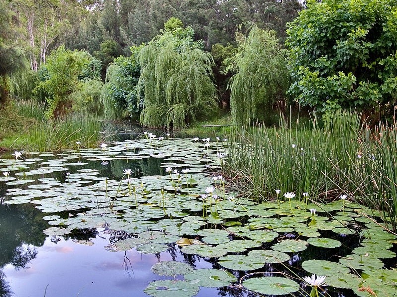 226 Stannix Park Road, Wilberforce NSW 2756