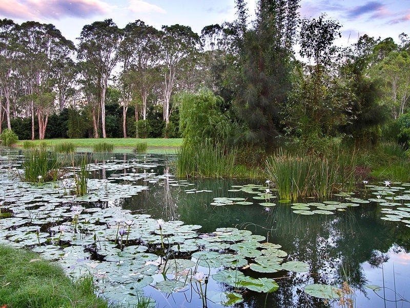 226 Stannix Park Road, Wilberforce NSW 2756