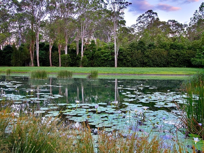 226 Stannix Park Road, Wilberforce NSW 2756