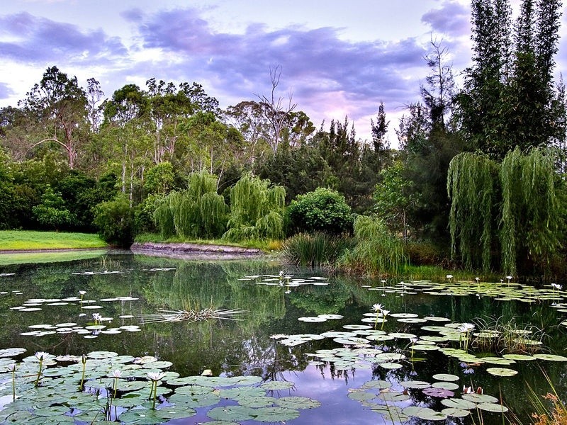 226 Stannix Park Road, Wilberforce NSW 2756