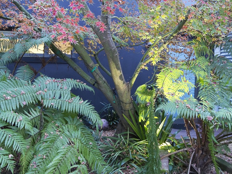 103 The Terrace, Windsor NSW 2756