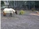 28 Nutwood Lane, Windsor Downs NSW 2756