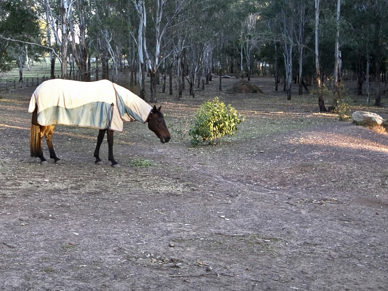 28 Nutwood Lane, Windsor Downs NSW 2756