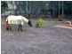 28 Nutwood Lane, Windsor Downs NSW 2756